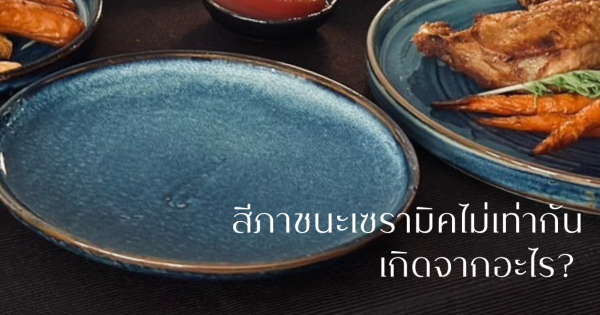 Unequal Ceramic Shade จานชาม เซรามิค สีไม่เท่ากัน! ผิดพลาดหรืองานอาร์ต