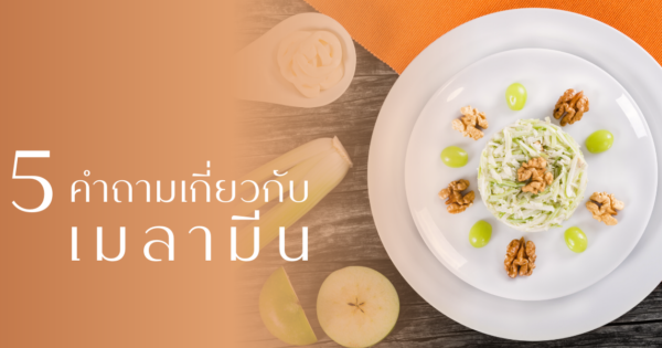 บทความภาชนะเมลามีน คืออะไร