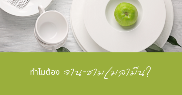108 เหตุผล ทำไมต้อง‘จาน-ชามเมลามีน’?