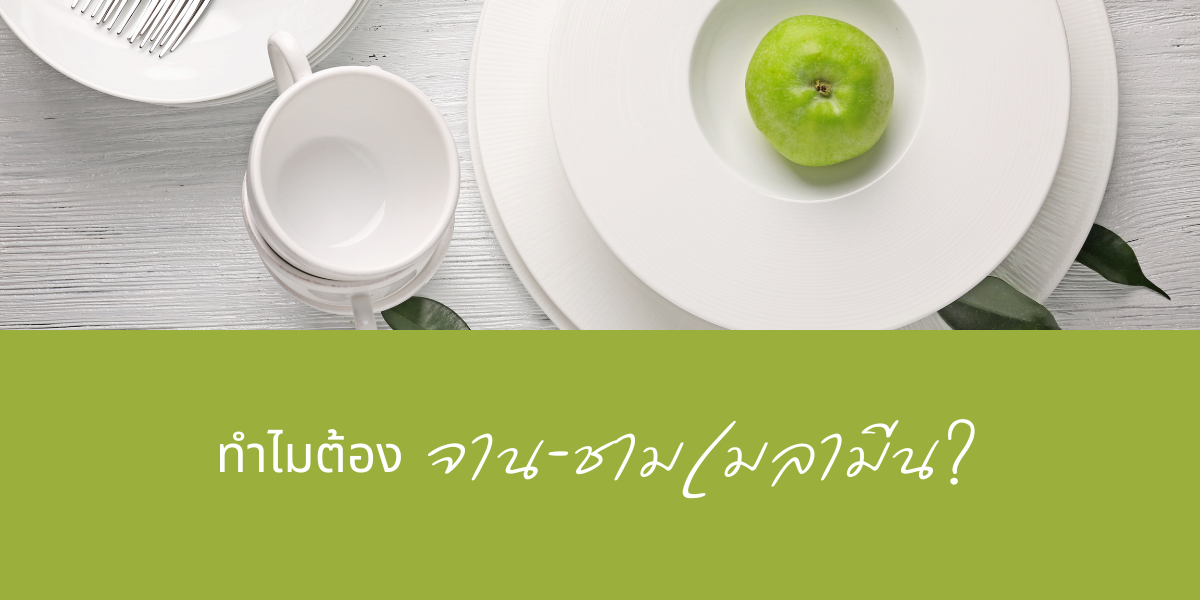 108 เหตุผล ทำไมต้อง‘จาน-ชามเมลามีน’?