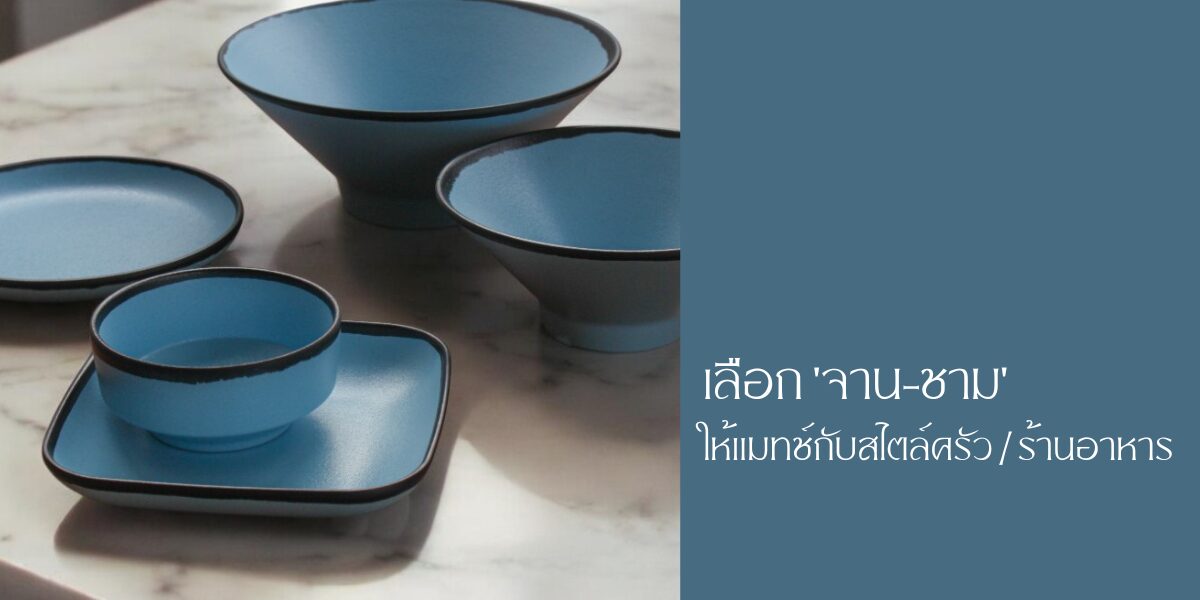 Choose tableware match with kitchen เลือกจานชามให้แมทช์กับสไตล์ครัวและร้านอาหาร