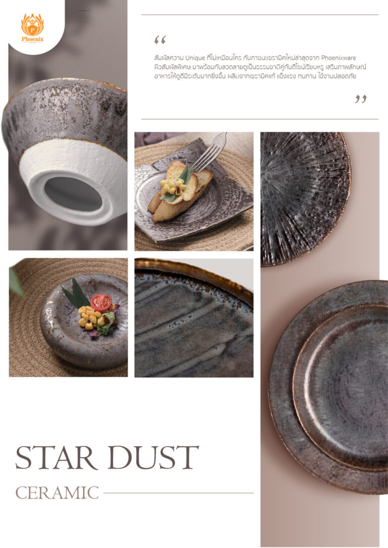เซรามิค Star Dust