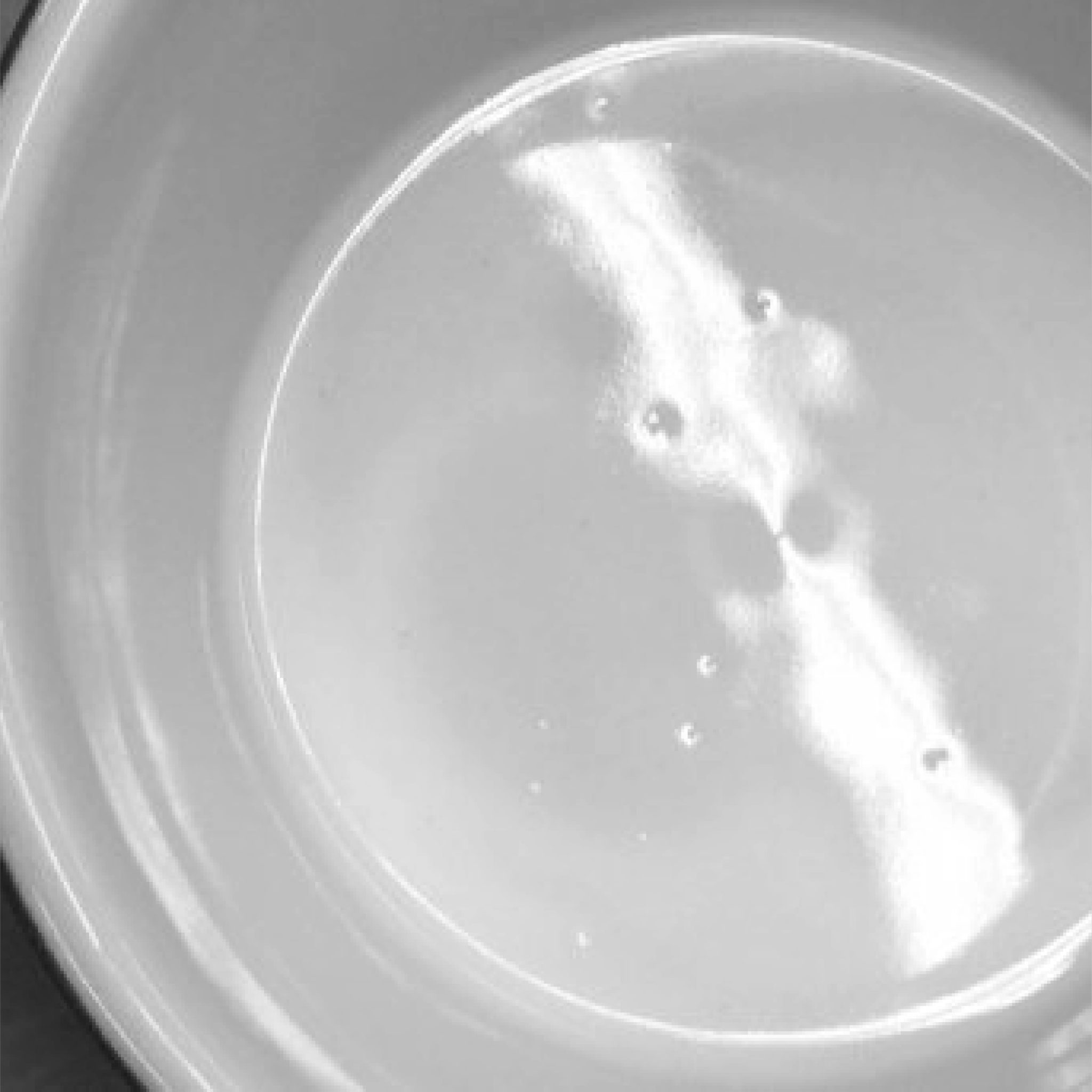 4 ตำหนิธรรมชาติของเซรามิค เกิดจากอะไร? - Phoenix-Ware.com