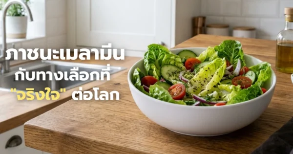 Melamine Tableware = EcoCover-Friendly Choice จานเมลามีนกับทางเลือกที่ "จริงใจ" ต่อโลก