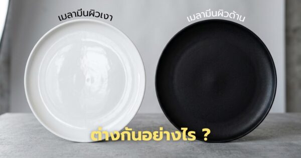 จานเมลามีนผิวเงา VS จานเมลามีนผิวด้าน ต่างกันอย่างไร เลือกแบบไหนให้เหมาะกับสไตล์คุณ – The difference between Glossy Melamine Tableware and Matte Melamine Tableware