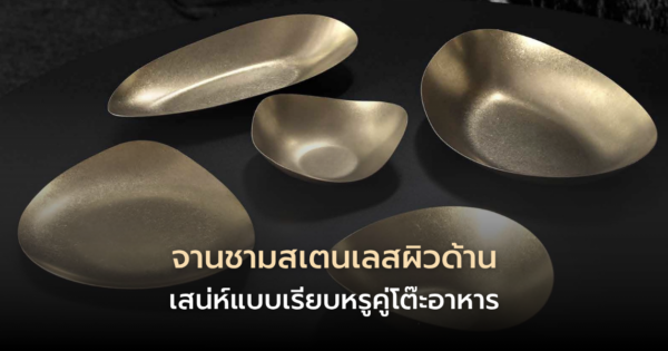 จานชามสเตนเลสผิวด้าน เสน่ห์เรียบหรูและ 6 วิธีดูแลให้สวยทนนาน